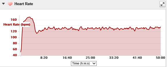 15th Aug - heart rate