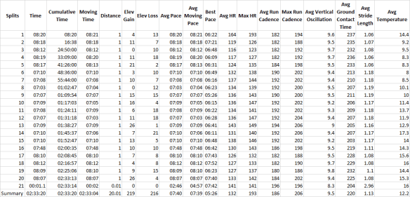 sunday 20 miler